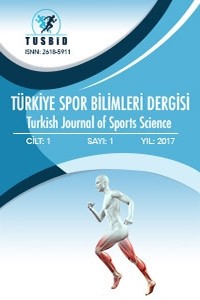 Türkiye Spor Bilimleri Dergisi