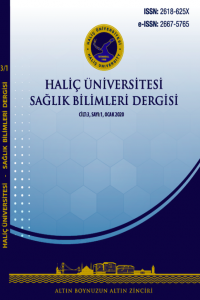 Haliç Üniversitesi Sağlık Bilimleri Dergisi