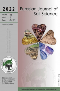 Eurasian Journal of Soil Science